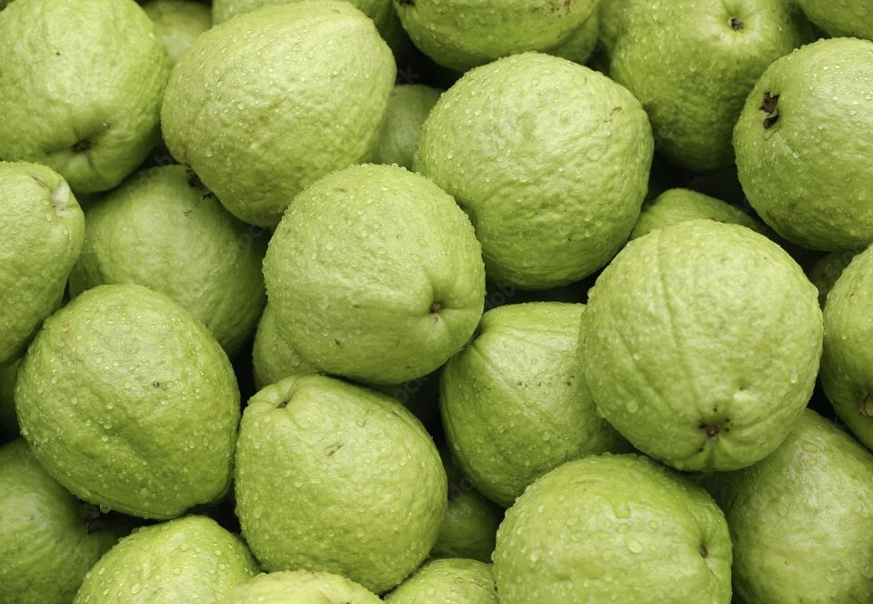 Guava Image